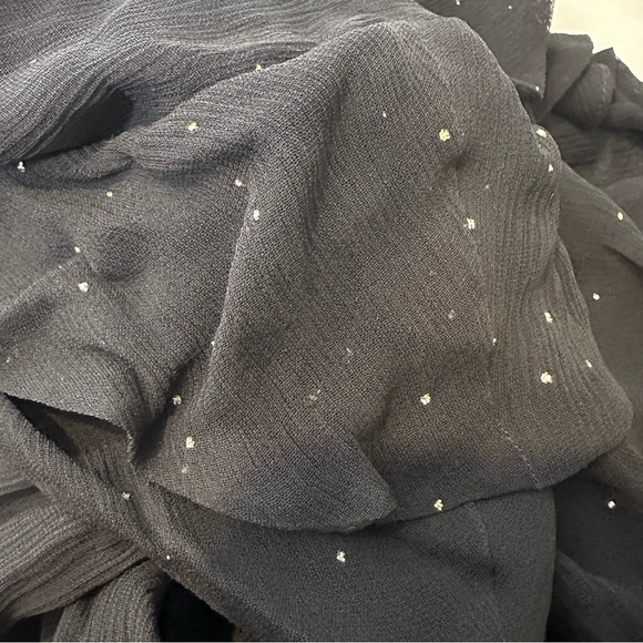 NWT IRO Lonila Ruffled Glittered Chiffon Top Size 40 Retail $670 - Picture 9 of 10